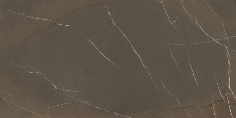 帝王石·褐(2)-Pietra Piasentina Taupe F2_副本.jpg