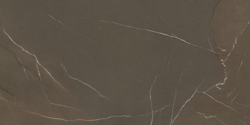 帝王石·褐(3)-Pietra Piasentina Taupe F3_副本.jpg
