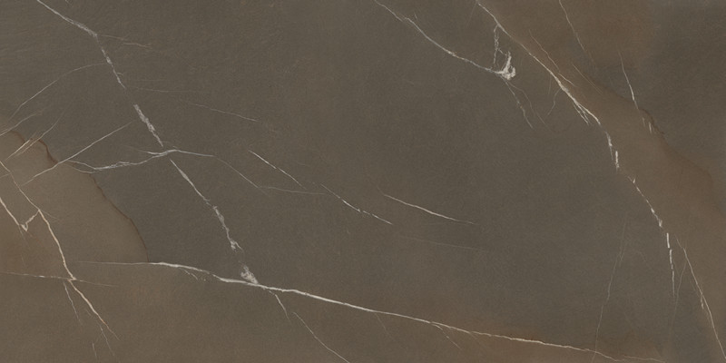 帝王石·褐(1)-Pietra Piasentina Taupe F1_副本.jpg