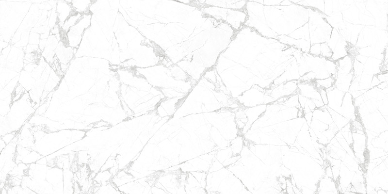幻影白(2)-Invisible Extra White F2_副本.jpg