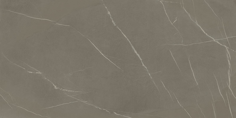 帝王石·灰(2)-Pietra Piasentina Grigio F2_副本.jpg