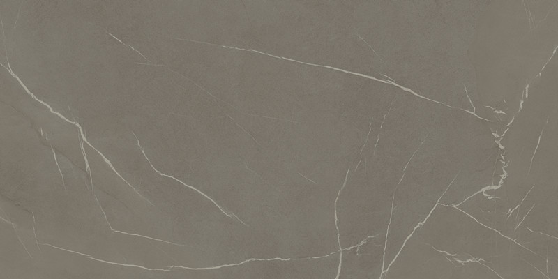 帝王石·灰(3)-Pietra Piasentina Grigio F3_副本.jpg